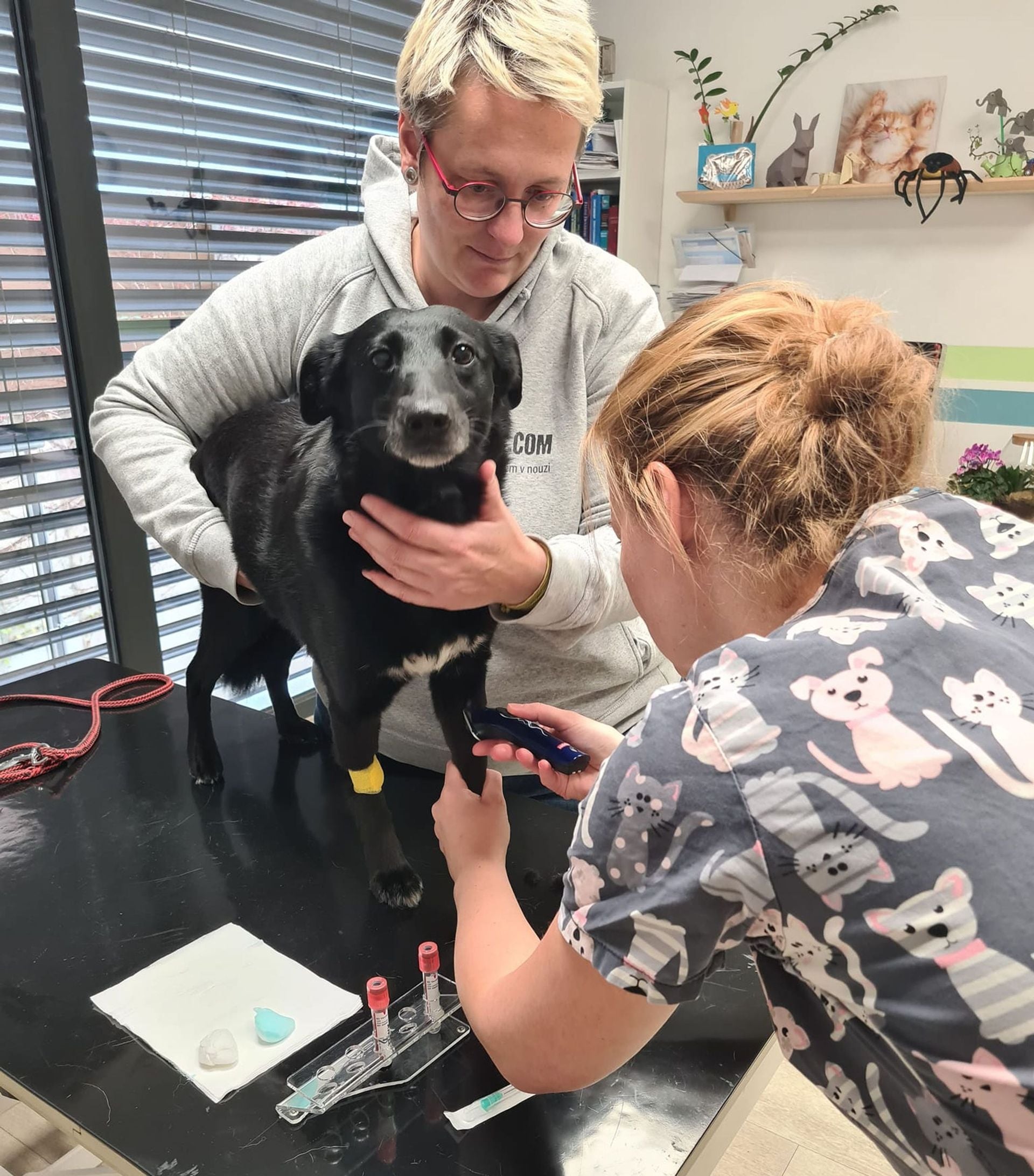 Statečná fenka Amálka u veterináře